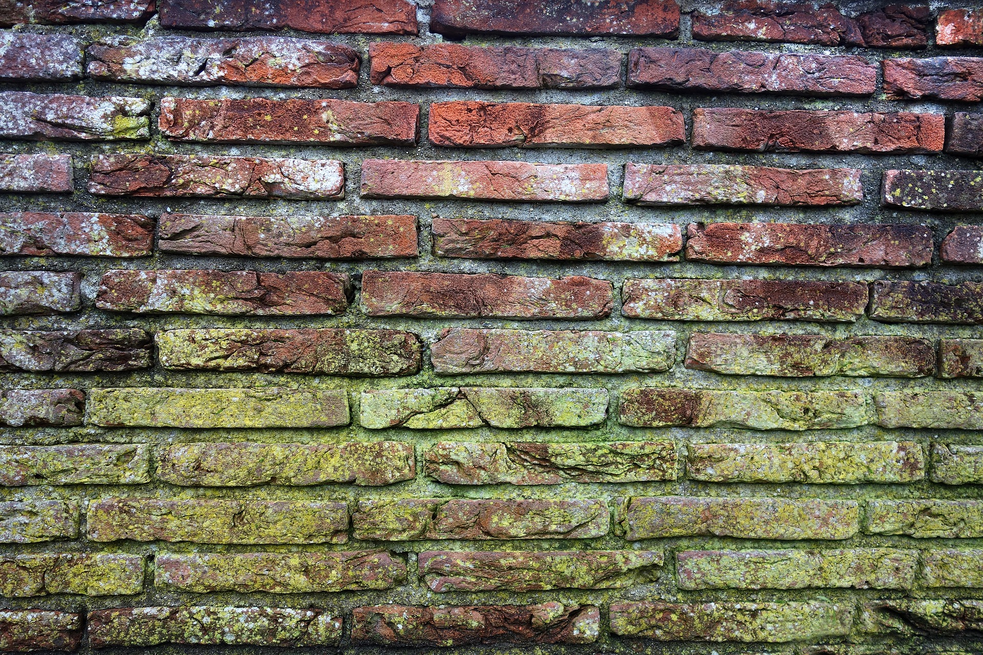 brick-wall-3130685_1920